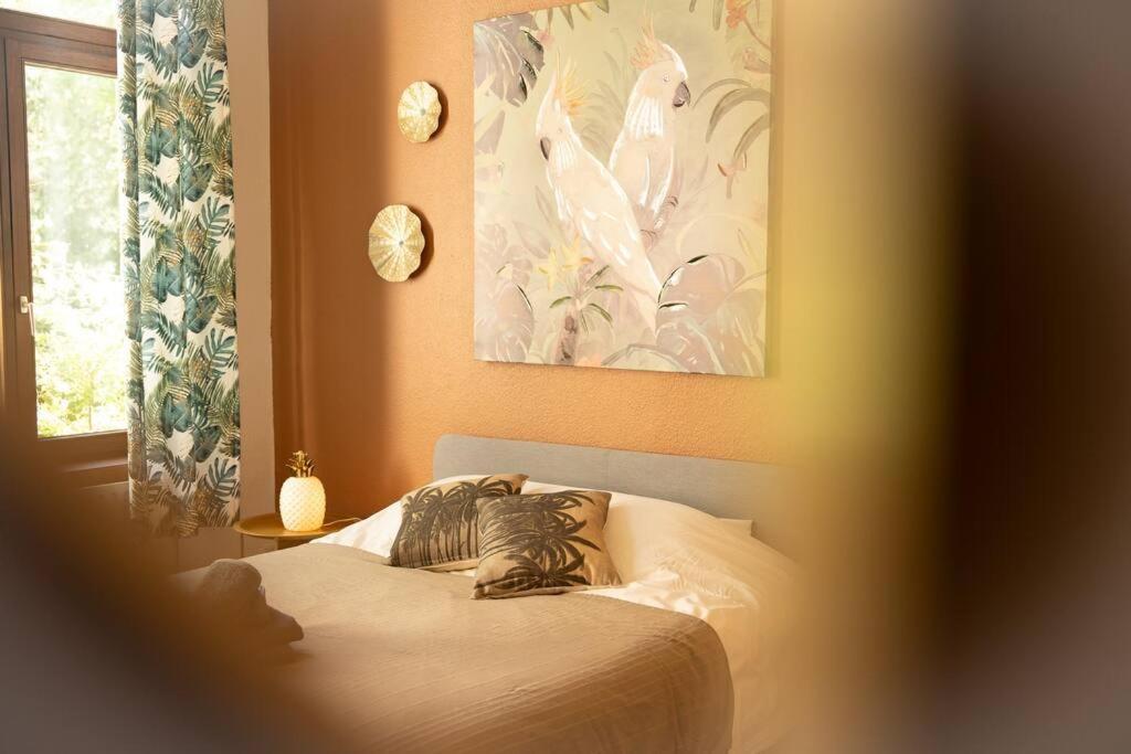 Camelia, Un Charme Montois Villa Mons Exterior photo